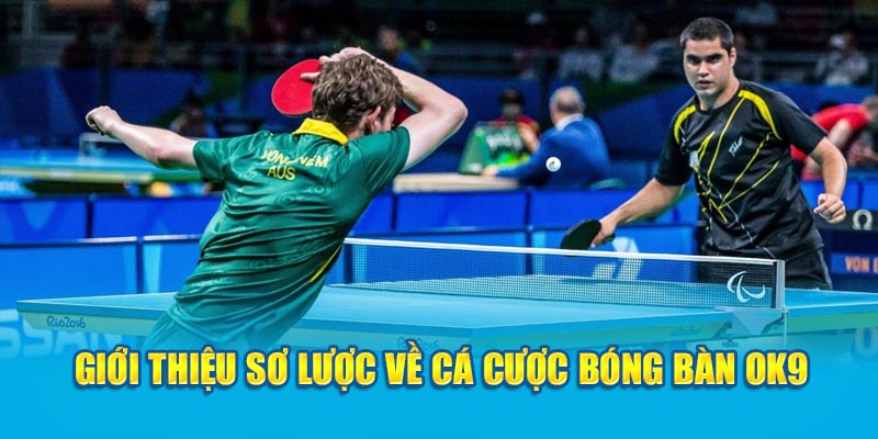 Cá Cược Bóng Bàn OK9 - Chia Sẻ Bí Kíp Chiến Thắng 5 Giới thiệu sơ lược về cá cược bóng bàn OK9